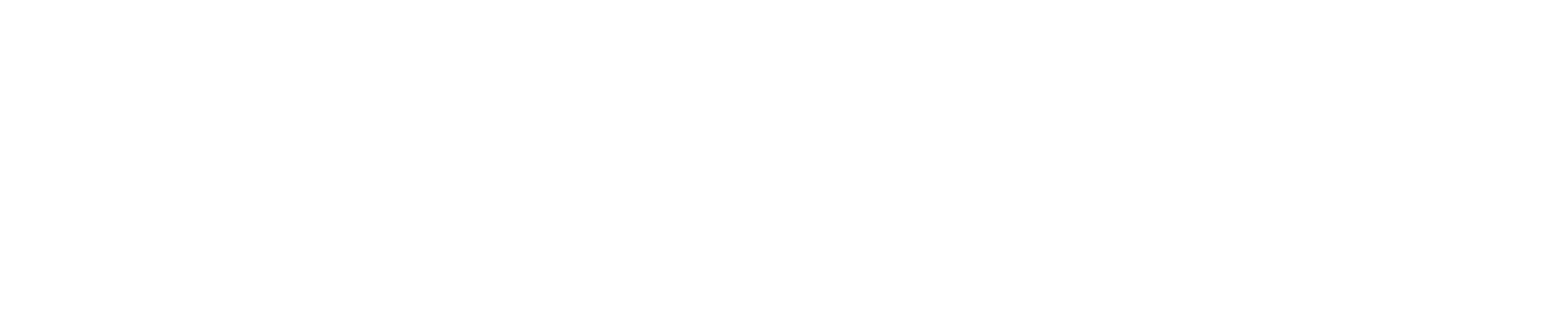 LeanScale
